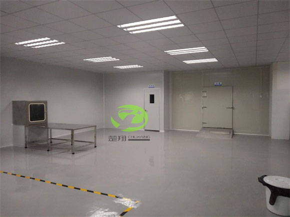 郴州福鹅食品91视频APPWWW车间装修工程(图7)