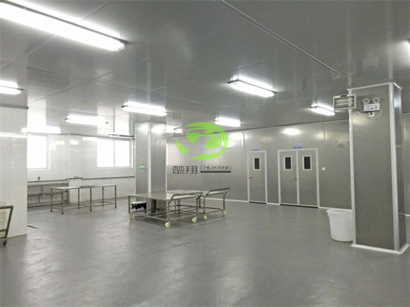 郴州福鹅食品91视频APPWWW车间装修工程(图3)