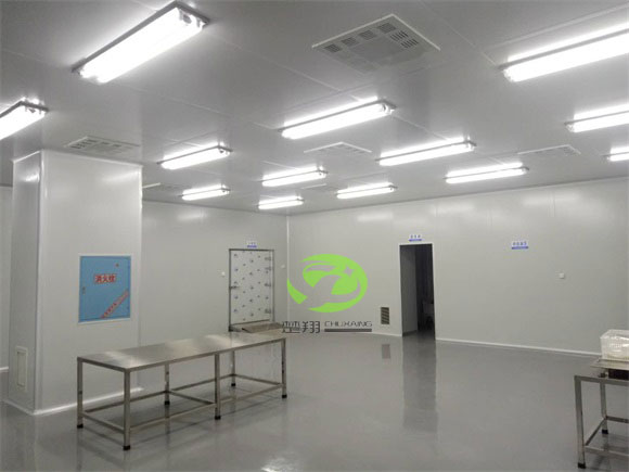 郴州福鹅食品91视频APPWWW车间装修工程(图5)